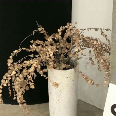 五台福瑞交流群